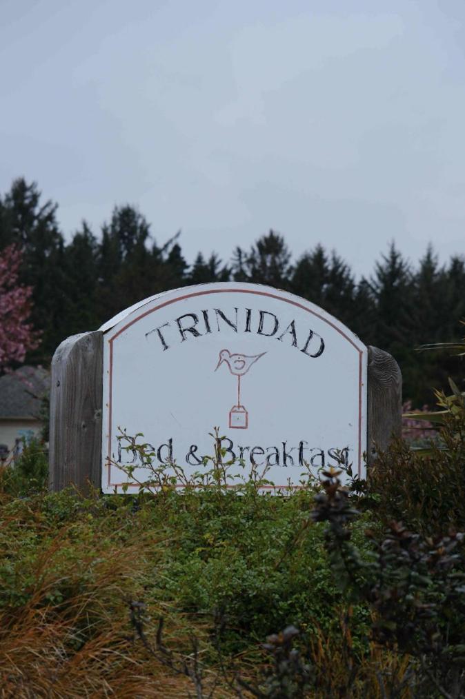 Trinidad Bay Bed And Breakfast Hotel Ngoại thất bức ảnh